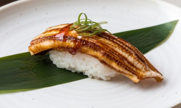 Best Sushi Nigiri Eel Near Me
